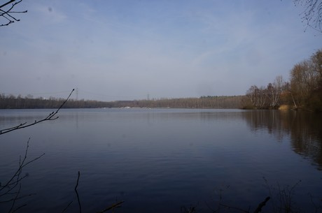 bleibtreusee
