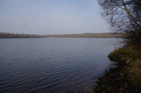 bleibtreusee