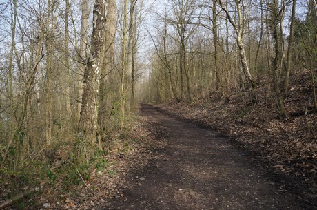 bleibtreusee