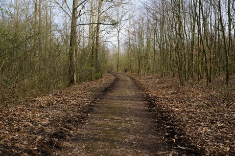 bleibtreusee