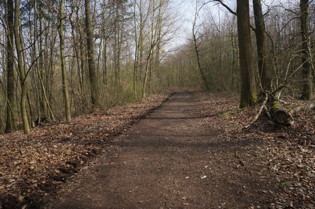 bleibtreusee