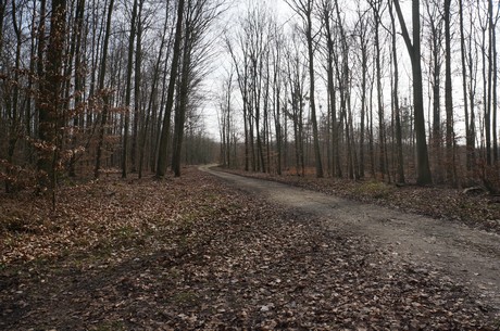 bleibtreusee