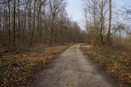 bleibtreusee