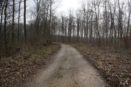 bleibtreusee