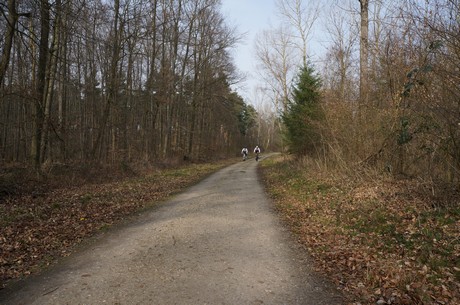 bleibtreusee