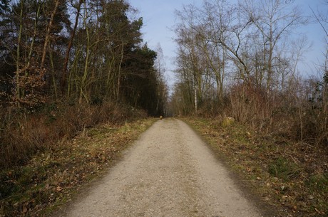 bleibtreusee