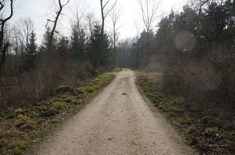bleibtreusee
