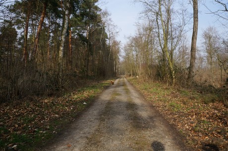 bleibtreusee