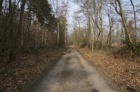 bleibtreusee