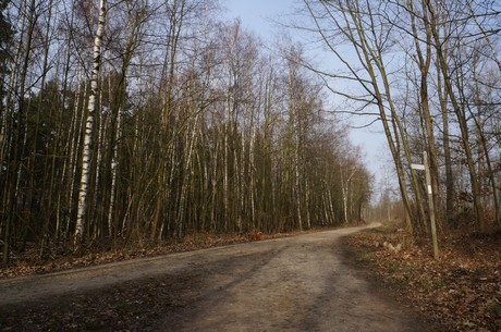 bleibtreusee