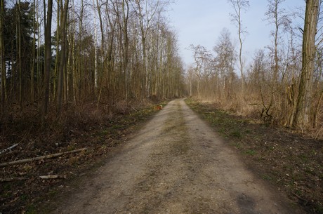 bleibtreusee