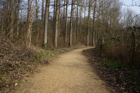 bleibtreusee