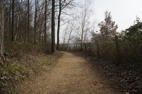bleibtreusee