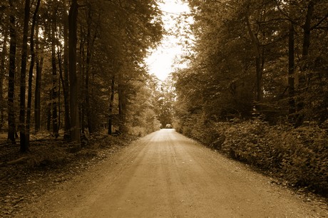 bleibtreusee