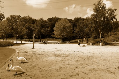 bleibtreusee