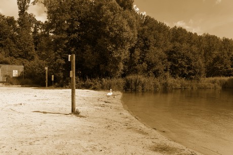 bleibtreusee