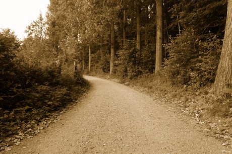 bleibtreusee