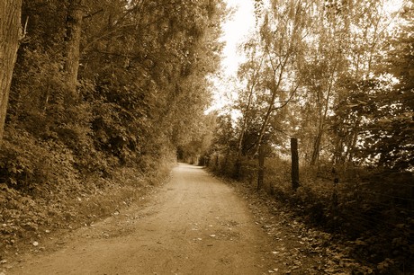 bleibtreusee