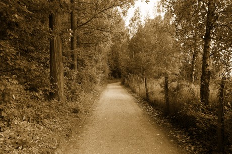 bleibtreusee