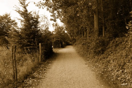 bleibtreusee