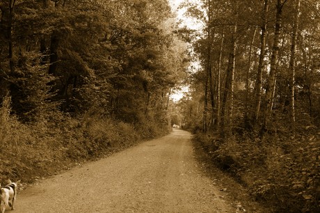 bleibtreusee