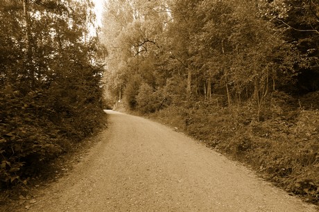 bleibtreusee