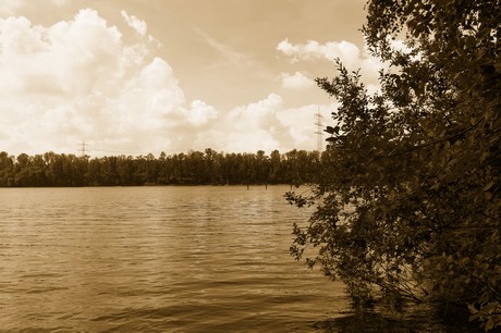 bleibtreusee