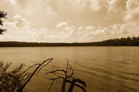 bleibtreusee