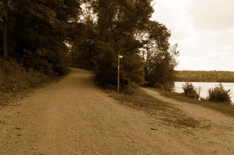 bleibtreusee
