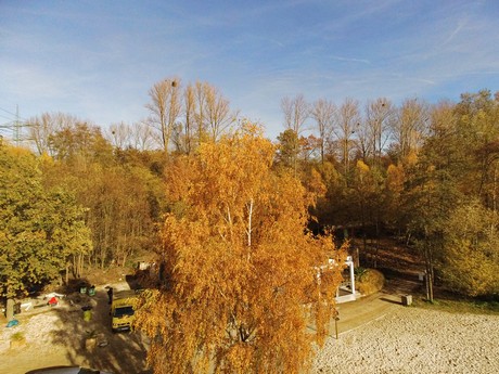 Bleibtreusee
