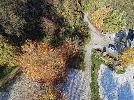 Bleibtreusee
