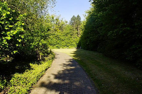 bruehl