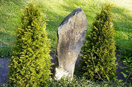 bruehl