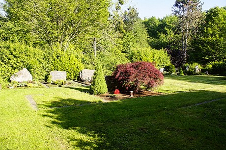 bruehl