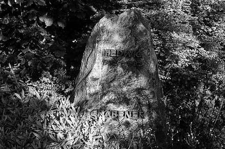 bruehl