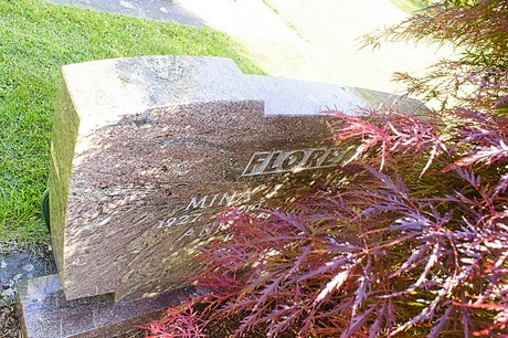 bruehl