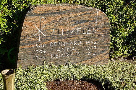 bruehl
