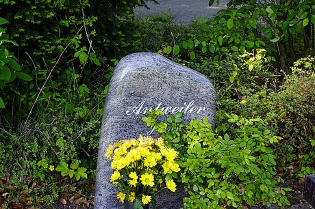 bruehl