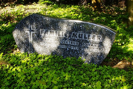bruehl