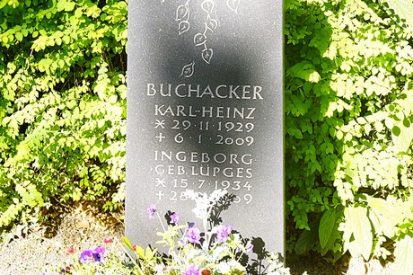 bruehl
