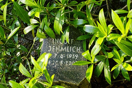 bruehl
