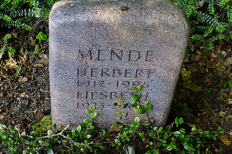 bruehl
