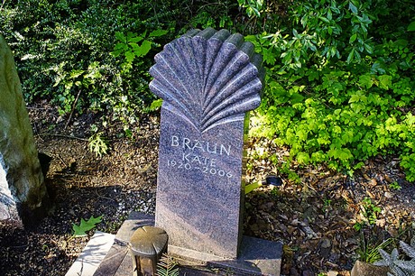 bruehl