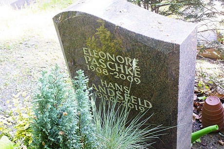 bruehl