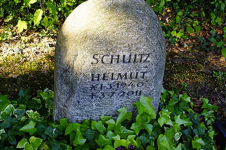 bruehl
