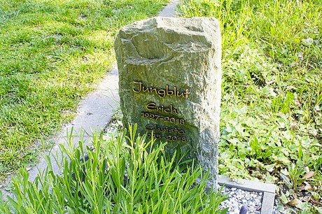 bruehl