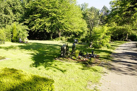 bruehl