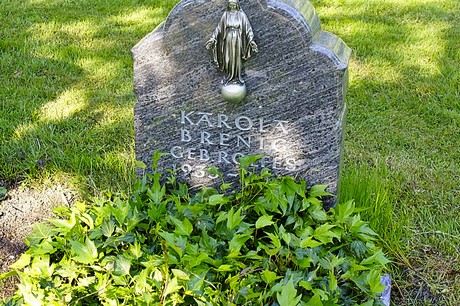 bruehl