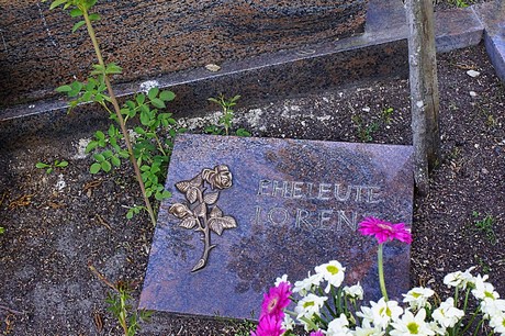 bruehl
