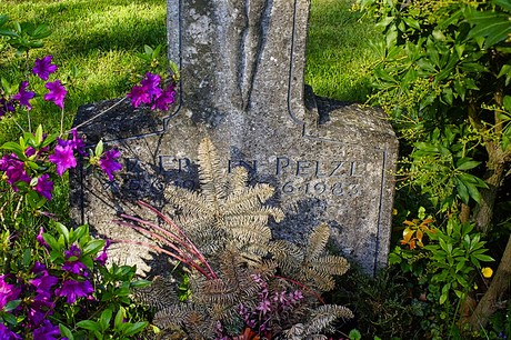 bruehl
